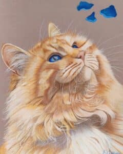 Chat roux aux poils longs regardant des pétales bleues tomber