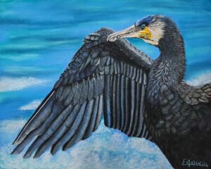 Portrait au pastel d'un cormoran
