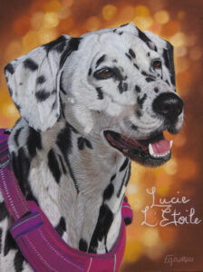 Portrait au pastel sec de Lucie, un dalmatien