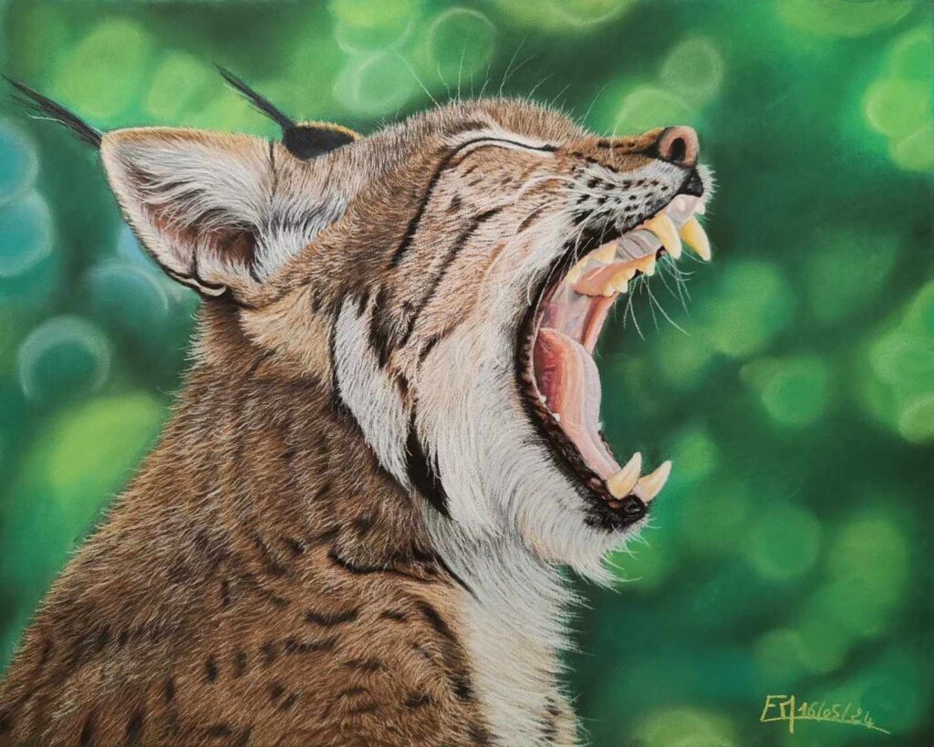 Portrait au pastel sec d'un lynx boréal