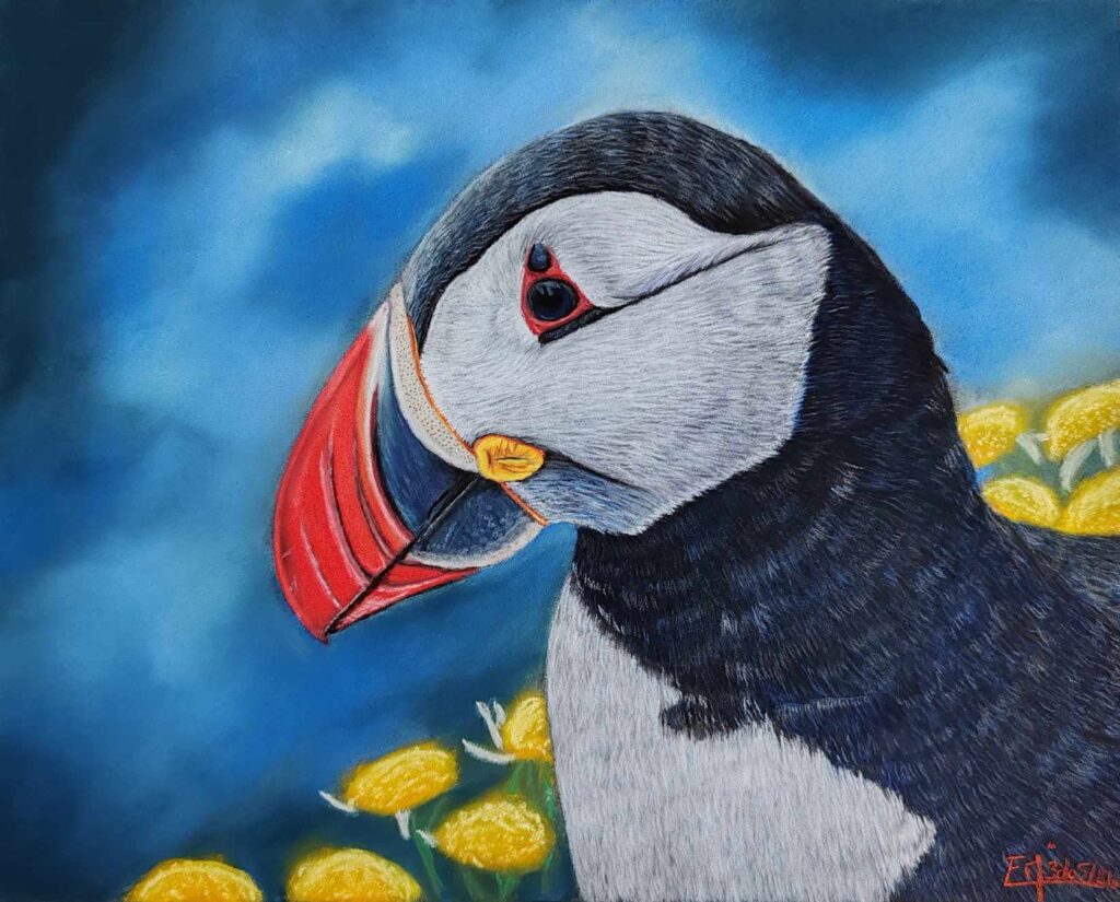 Portrait au pastel sec d'un macareux