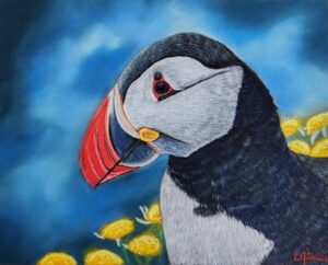 Portrait au pastel sec d'un macareux