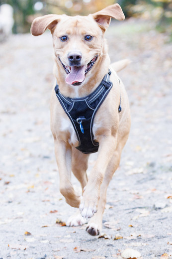 Exemple d'une photo surexposée