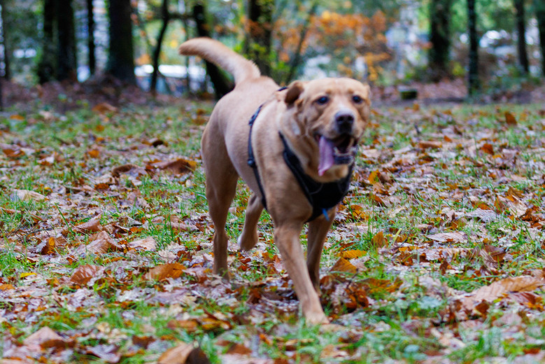 Exemple de photo floue