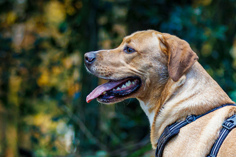 Exemple d'une photo de référence parfaite