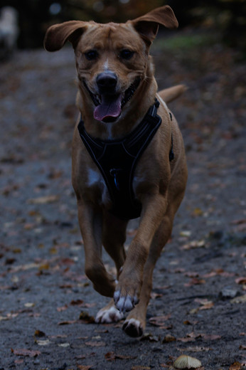 Exemple d'une photo trop sombre