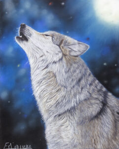 Portrait au pastel sec d'un loup hurlant à la lune
