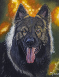 Portrait au pastel sec de Rewïr, mon chien