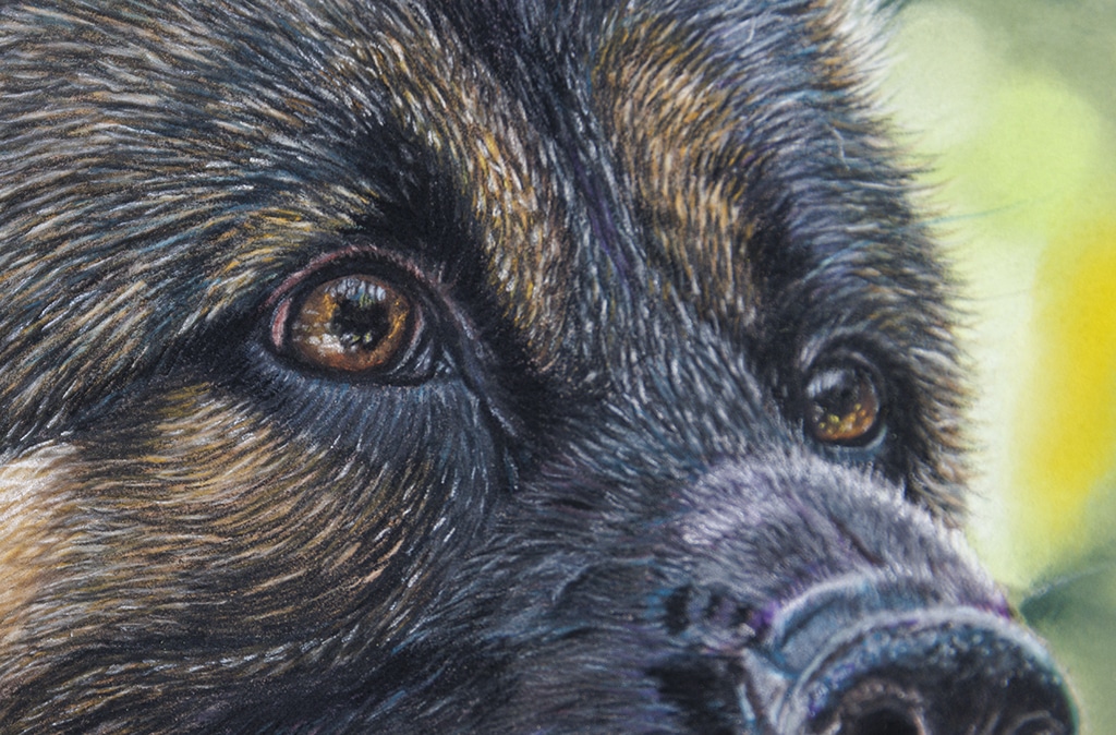 Zoom sur le portrait au pastel de Thor