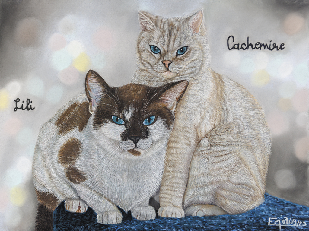 Portrait au pastel de Cachemire et Lili, deux chats