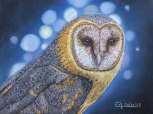 Portrait au pastel sec d'une chouette effraie