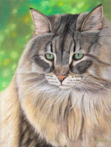 Portrait au pastel d'Indira, un chat tigré aux poils longs
