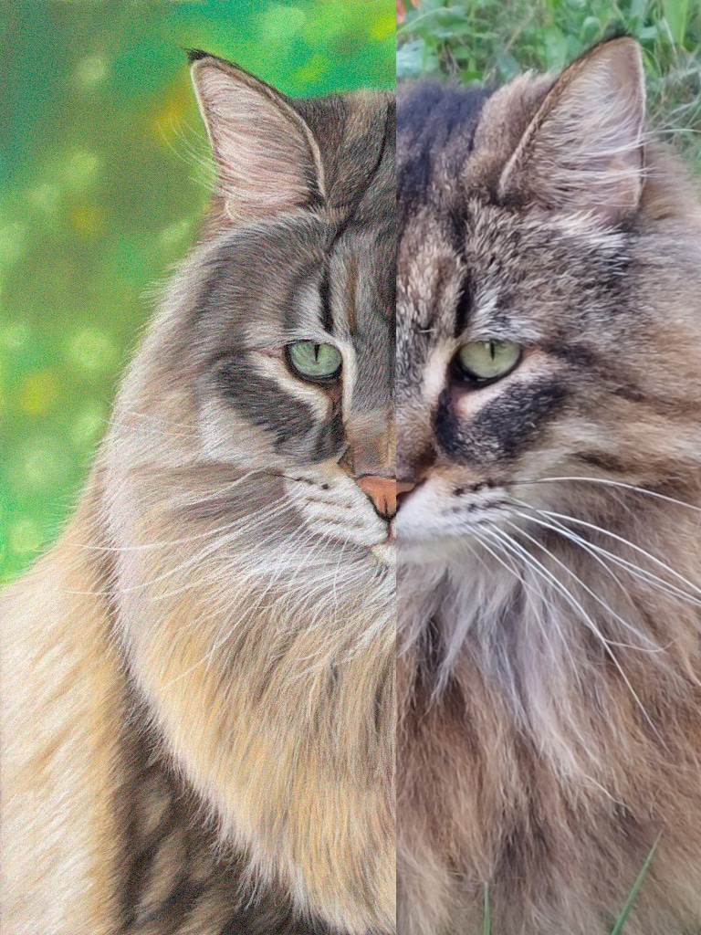 Montage de comparaison entre la photo et le pastel