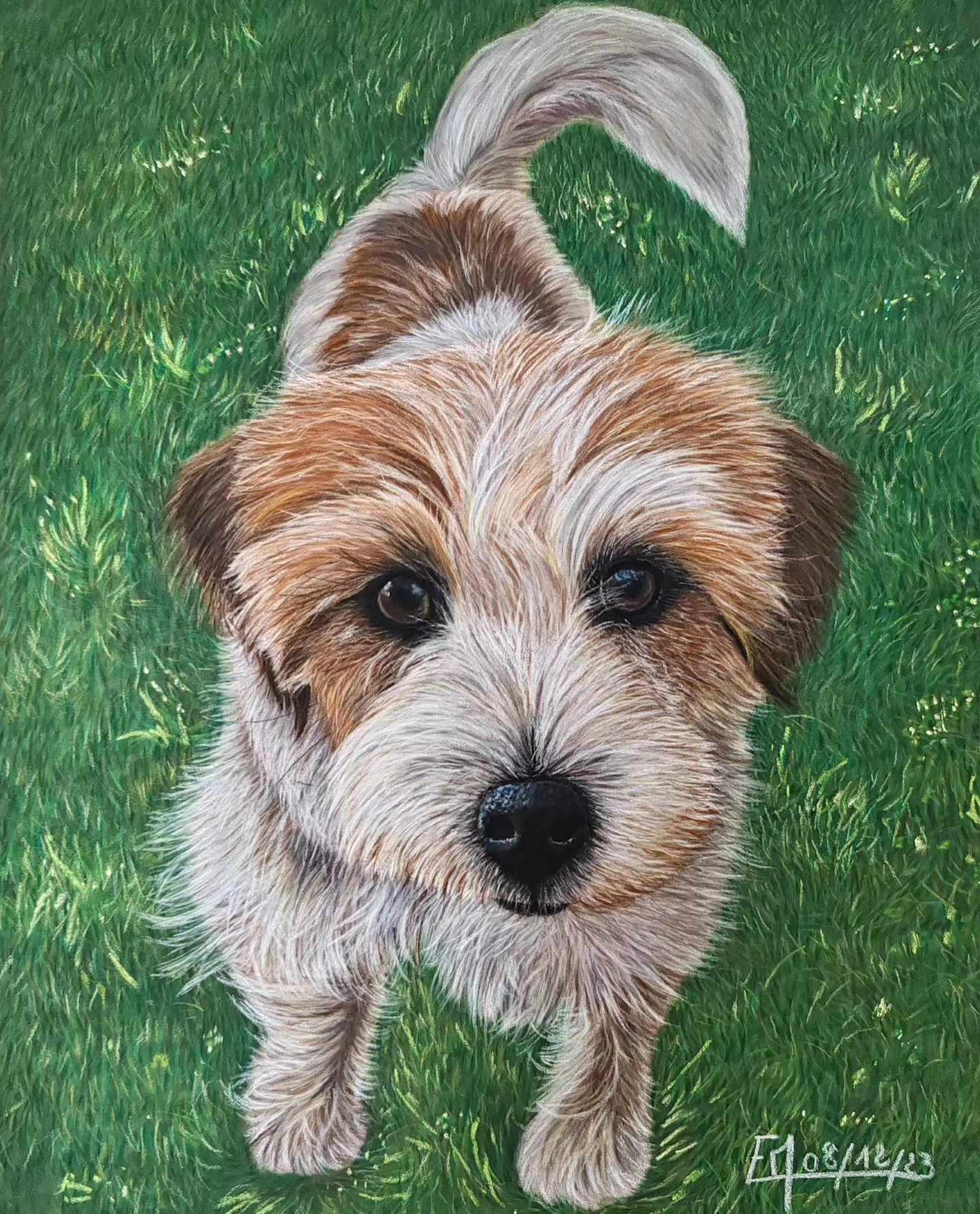 Portrait au pastel de Pachmina, un terrier