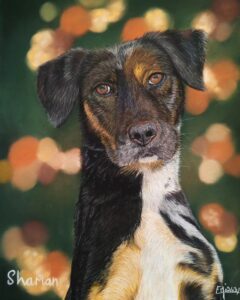 Portrait au pastel de Shaman, un croisé