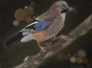 Portrait au pastel sec d'un geai