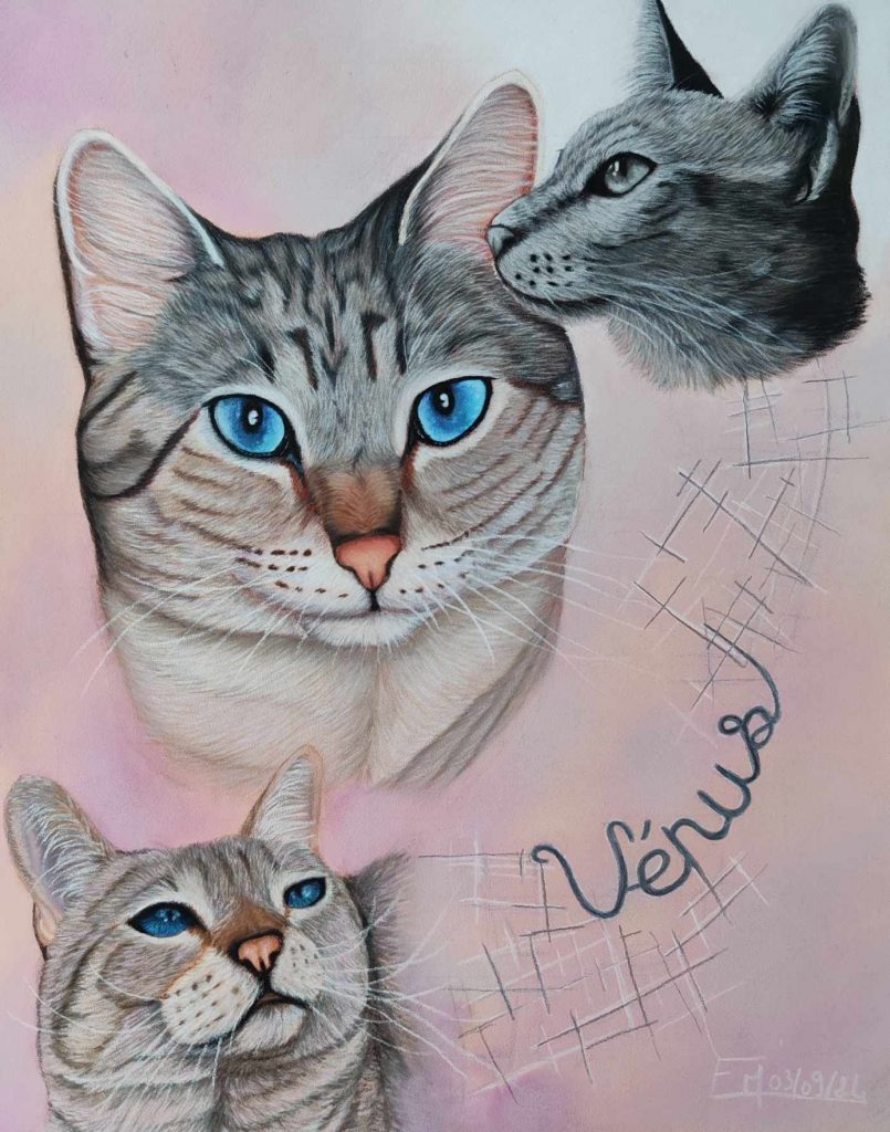 Portrait au pastel sec final de Vénus