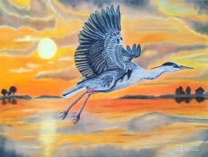 Portrait d'un héron qui s'envole avec, en fond, un paysage du golfe du Morbihan au coucher de soleil