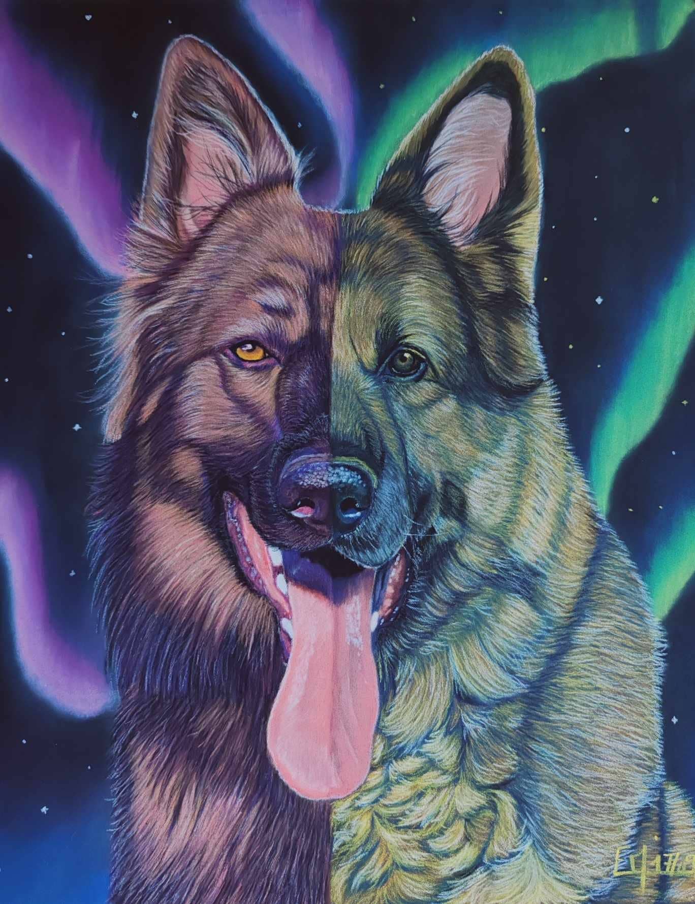 Portrait 24x30 de Heilung et Kaya devant des aurores boréales