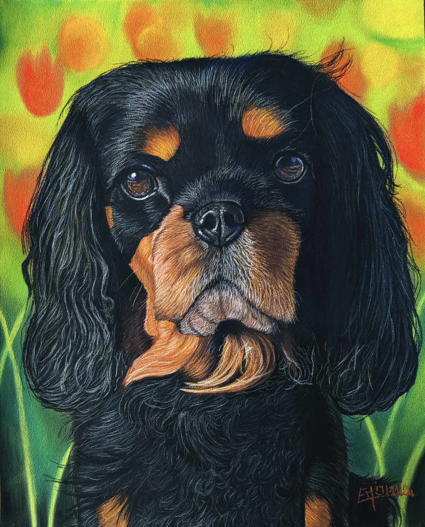 Portrait de Cavalier King Charles au pastel sec