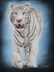 Portrait d'une tigresse blanche au pastel sec
