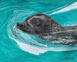 Tableau d'un phoque nageant dans la mer