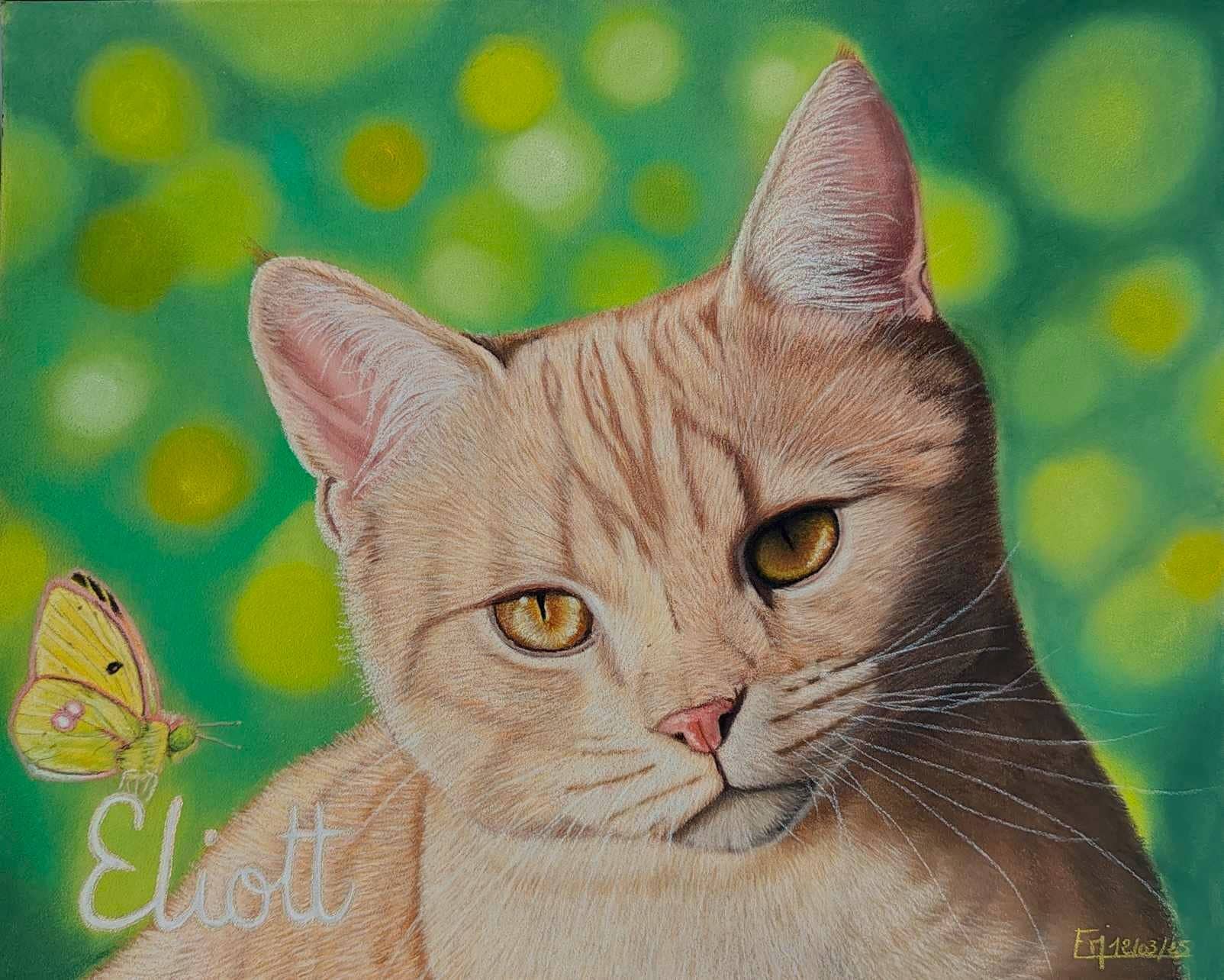 Portrait au pastel sec d'Eliott, un chat roux