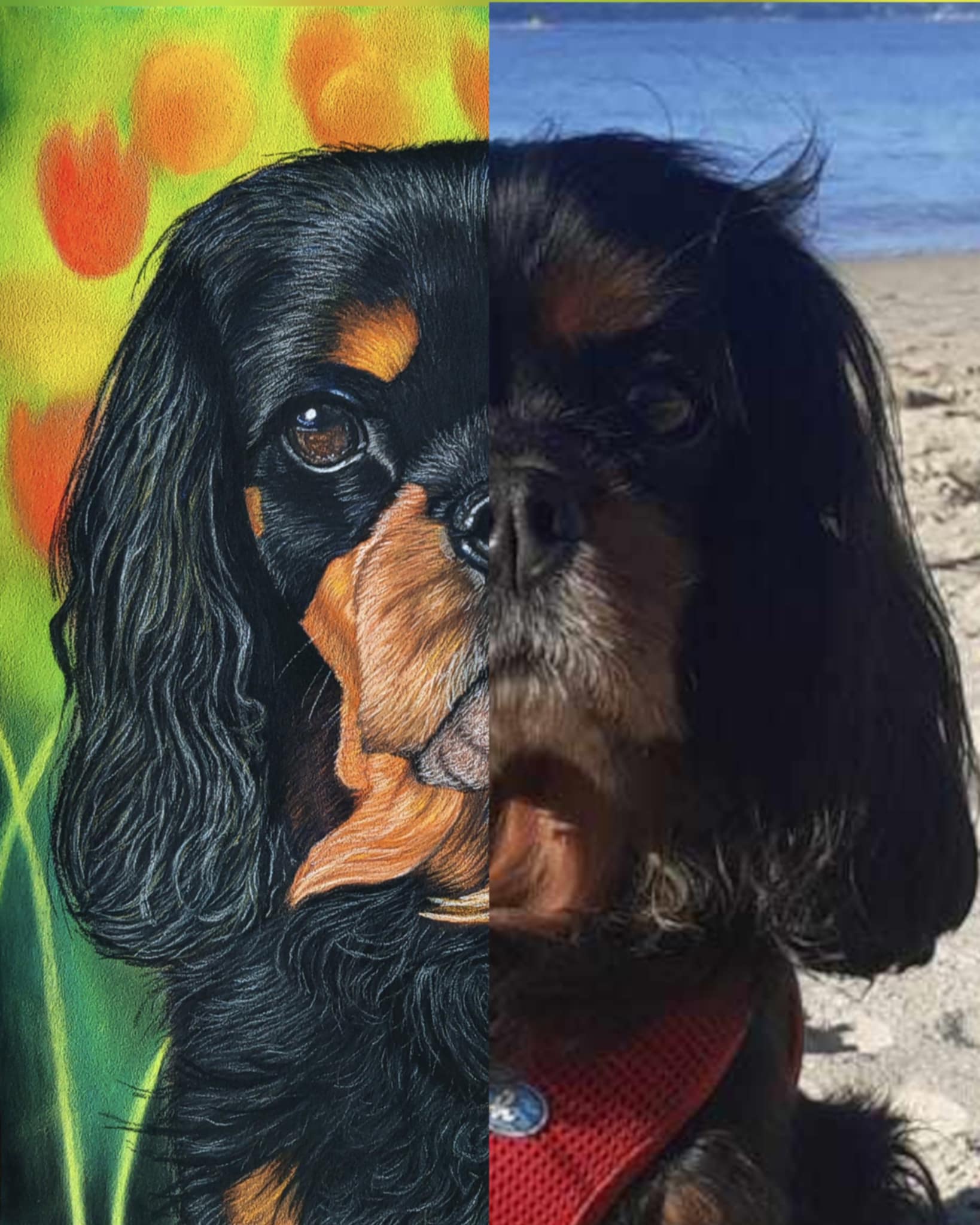Comparaison du portrait de Dolly réalisé au pastel sec avec la photo de référence