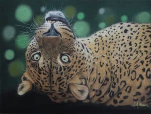 Portrait d'une panthère du Sri Lanka au pastel sec