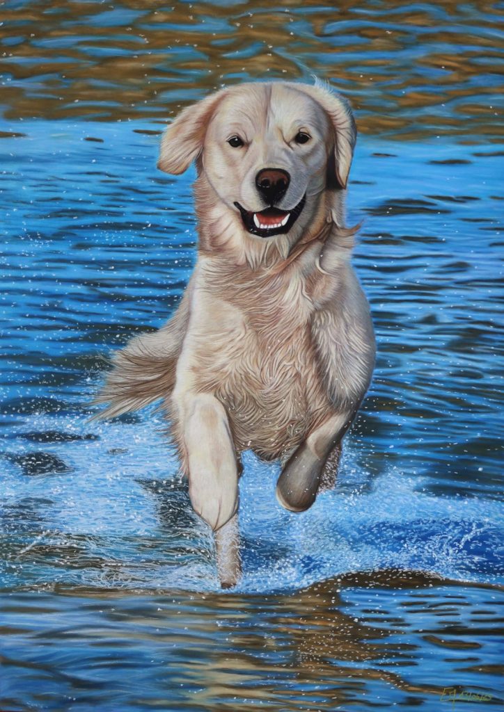 Portrait d'un golden retriever qui court dans la mer