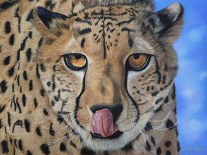 Portrait au pastel sec d'un guépard qui se lèche les babines