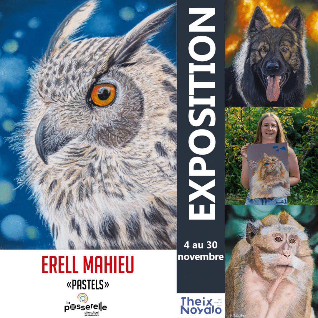 Affiche pour l'exposition à la médiathèque de Theix-Noyalo