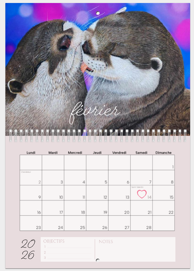 Maquette du mois de février du calendrier 2026