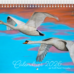 Maquette de la page de couverture du calendrier 2026