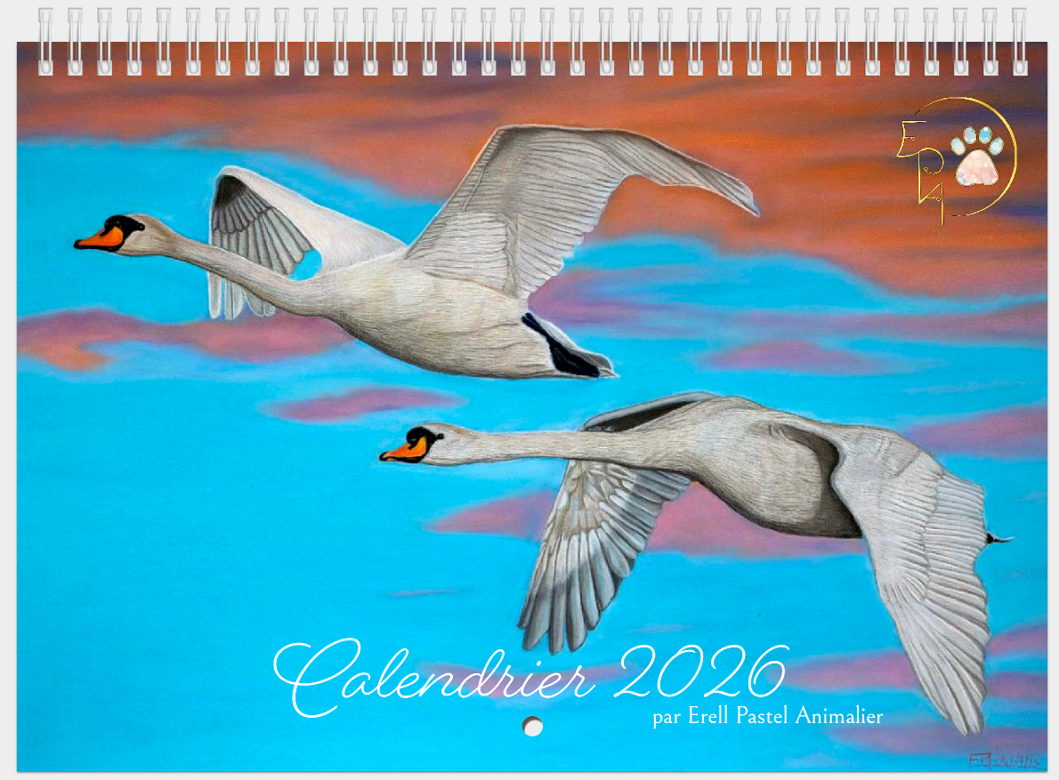 Maquette de la page de couverture du calendrier 2026