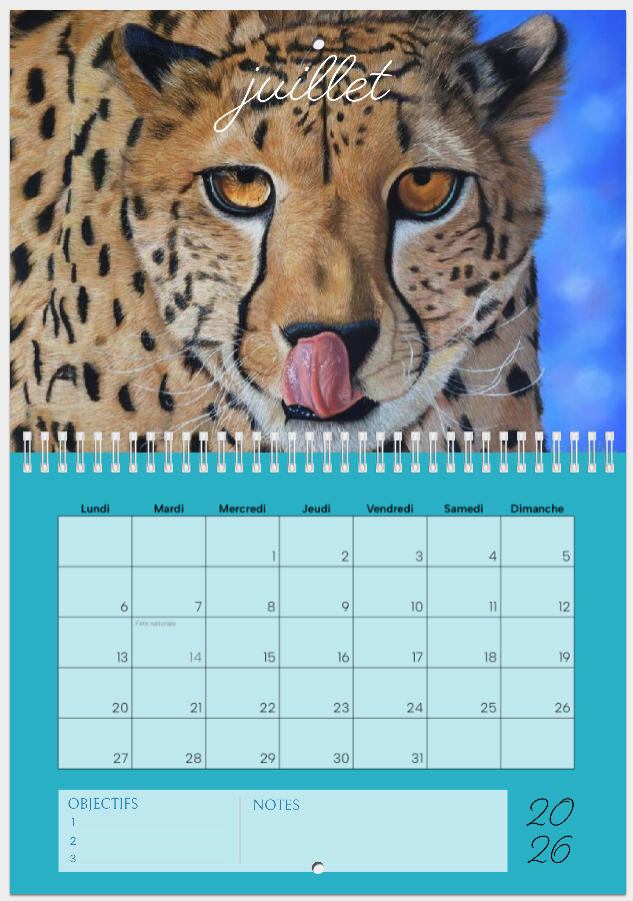 Maquette du mois de juillet du claendrier 2026