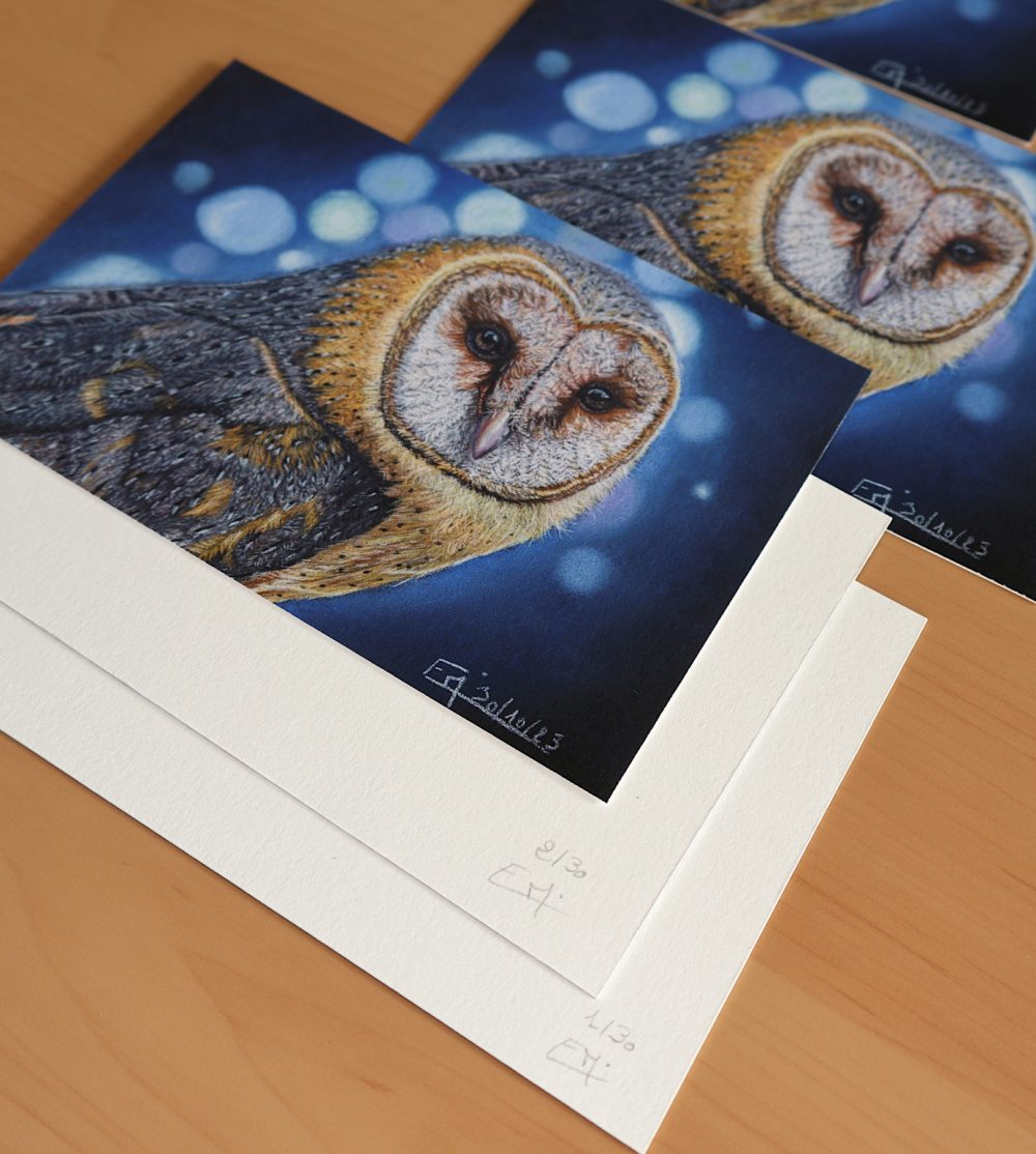 Tirages d&rsquo;art « La Dame Blanche » (15x10cm)