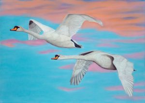 Tableau réalisé au pastel sec de deux cygnes en vol dans un ciel de lever de soleil doux