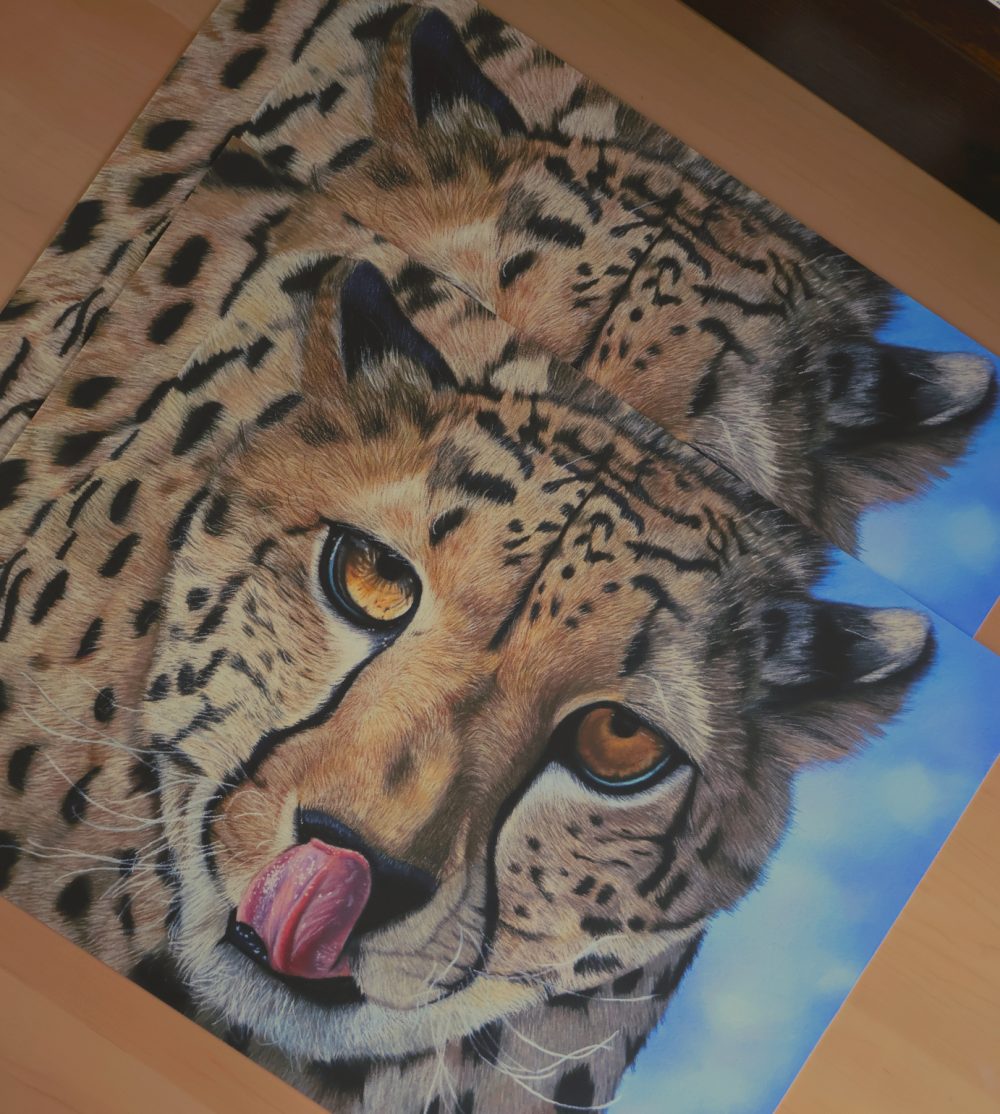 Tirages d&rsquo;art « La faim au ventre » (40x30cm)