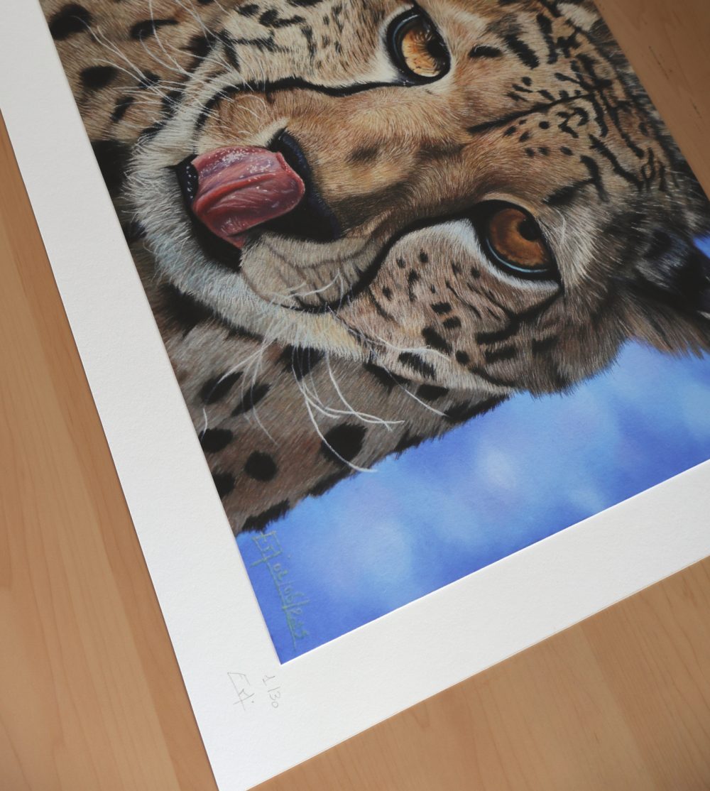 Tirages d&rsquo;art « La faim au ventre » (40x30cm)