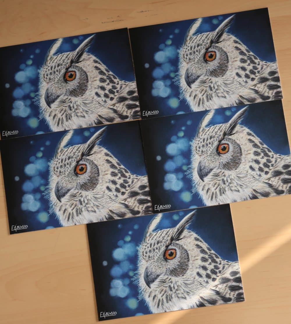 Tirage d'art de "L'Oeil de nos Forêts", 15x10cm, 7€