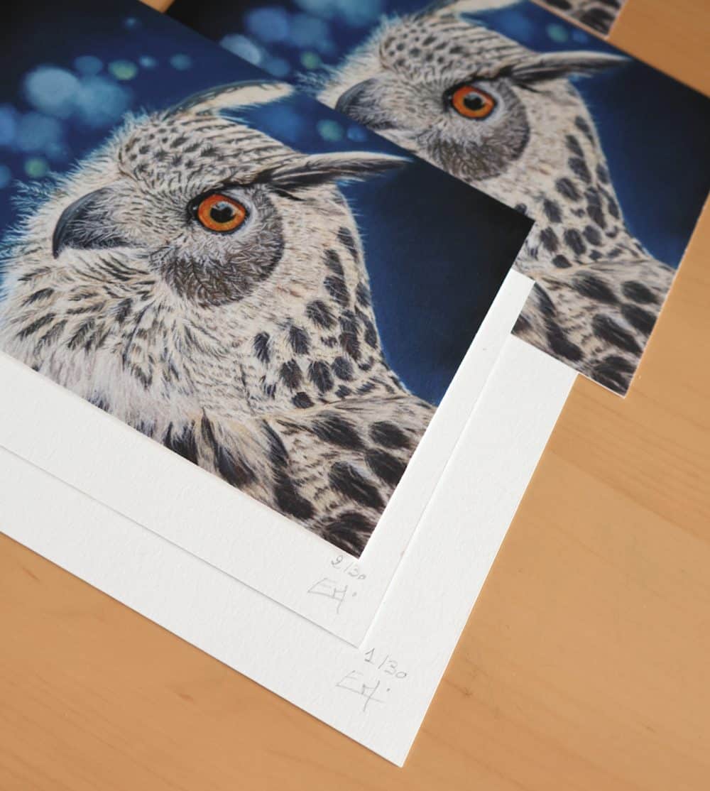 Tirages d&rsquo;art « l&rsquo;Oeil de nos Forêts » (15x10cm)