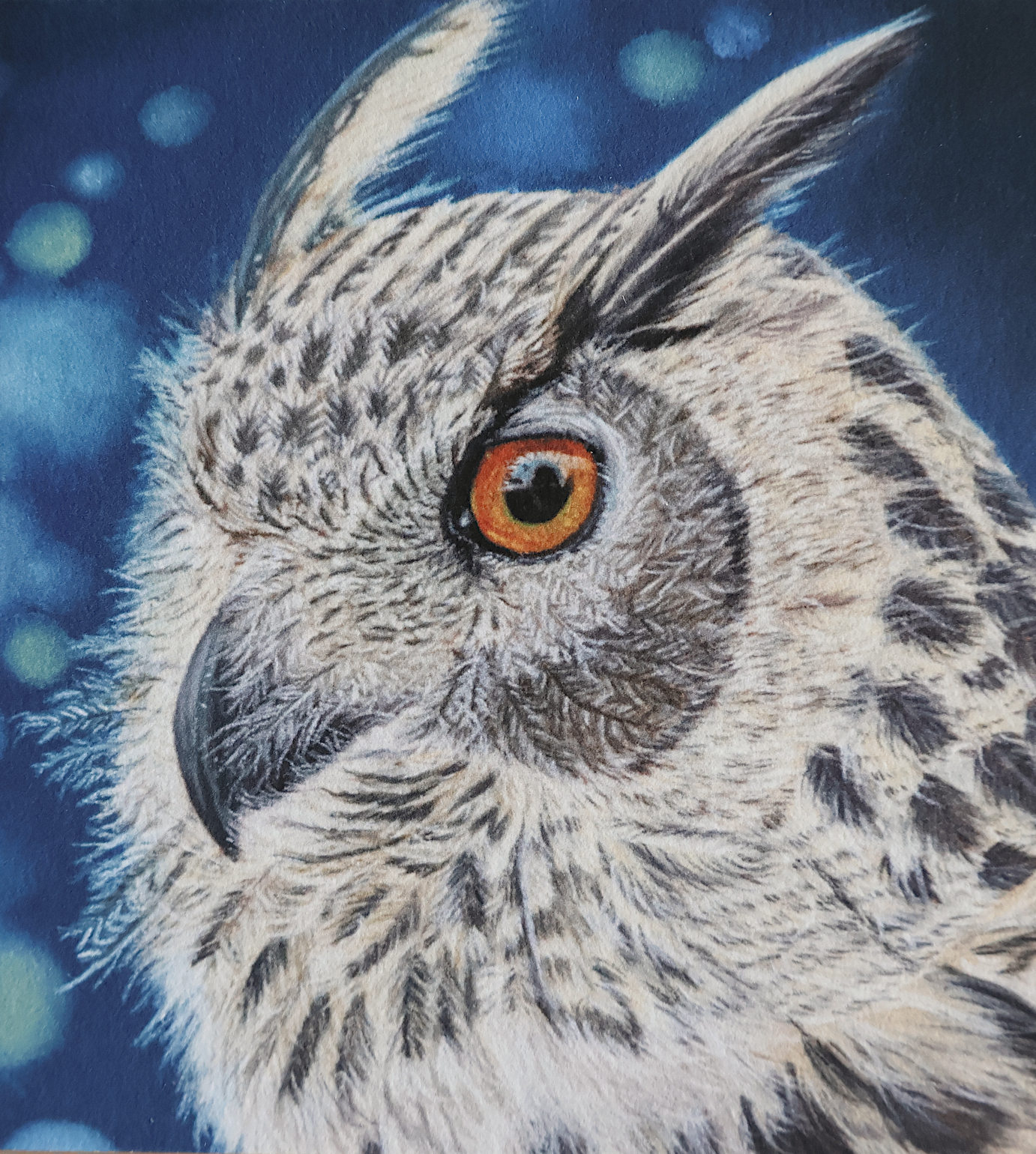 Tirage d'art de "L'Oeil de nos Forêts", 15x10cm, 7€