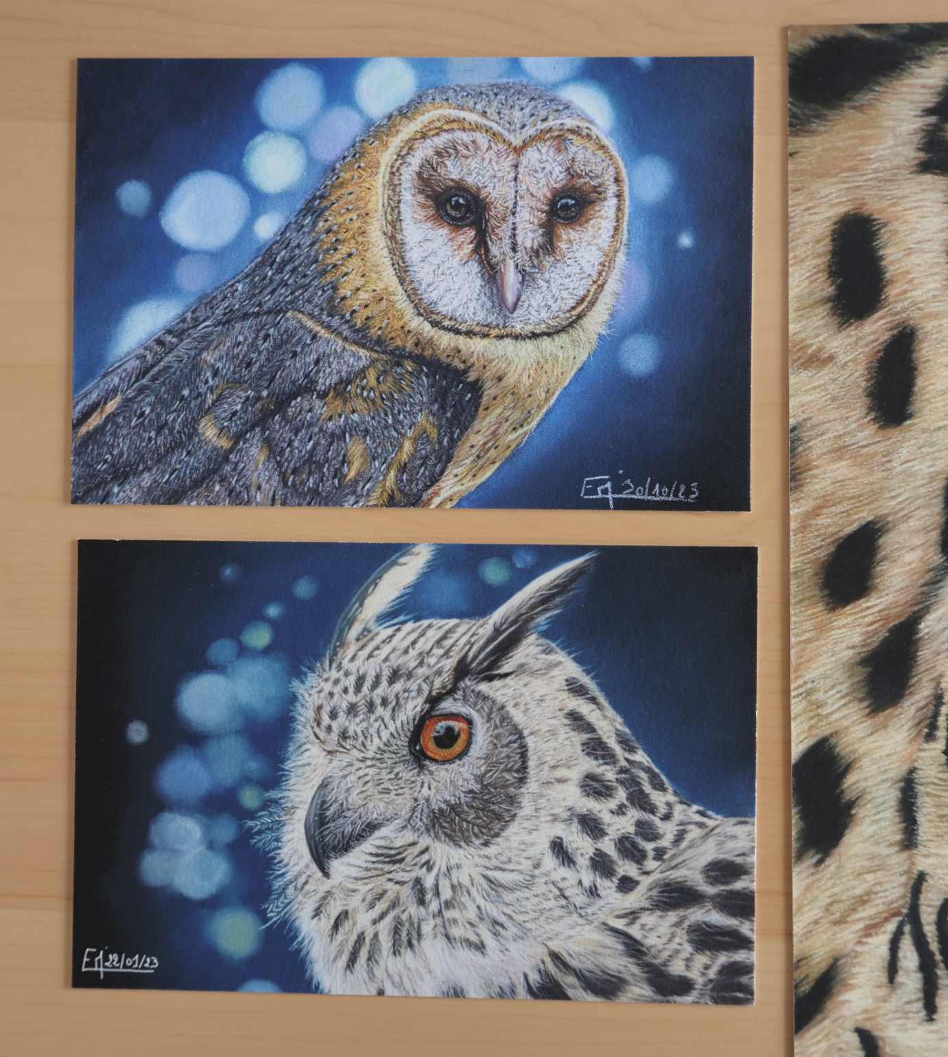 Tirages d'art "La Dame Blanche" et "l'Oeil de Nos Forêts", 15x10cm, 7€ chacun