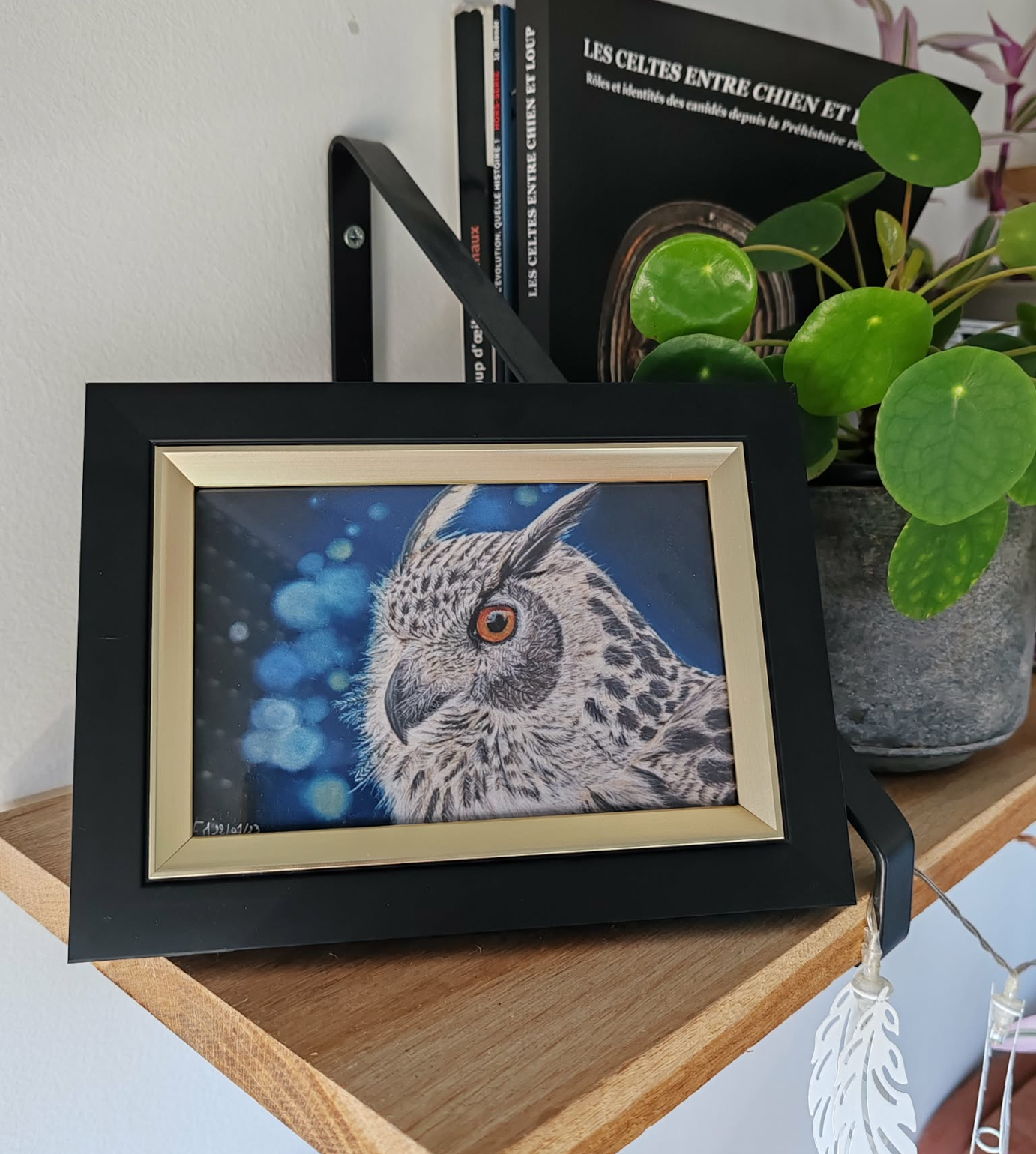 Tirage d'art de "L'Oeil de nos Forêts", 15x10cm, 7€