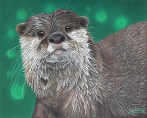 Portrait au pastel sec d'une loutre sortant de l'eau