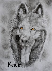 Portrait personnalisé presque monochrome de Rewïr, un alteudscher schaferhund