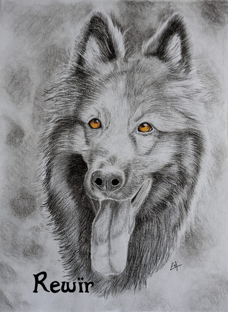 Portrait personnalisé presque monochrome de Rewïr, un alteudscher schaferhund