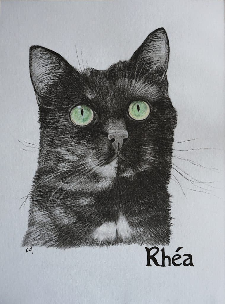 Portrait personnalisé "presque monochrome" de Rhéa, une petite chatte écaille-de-tortue