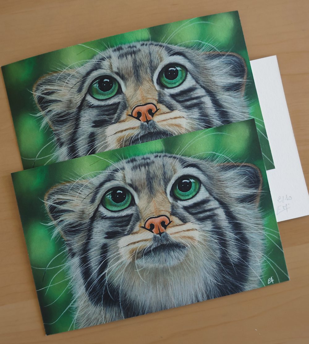 Tirages d&rsquo;art « Le Chat Potté » (15x10cm)